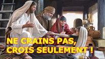 Catequese de Adultos Ne crains pas. Crois seulement